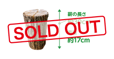 スウェーデントーチ（楢）SOLD OUT
